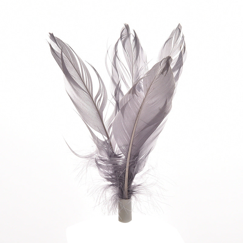 Set of feathers on a white background