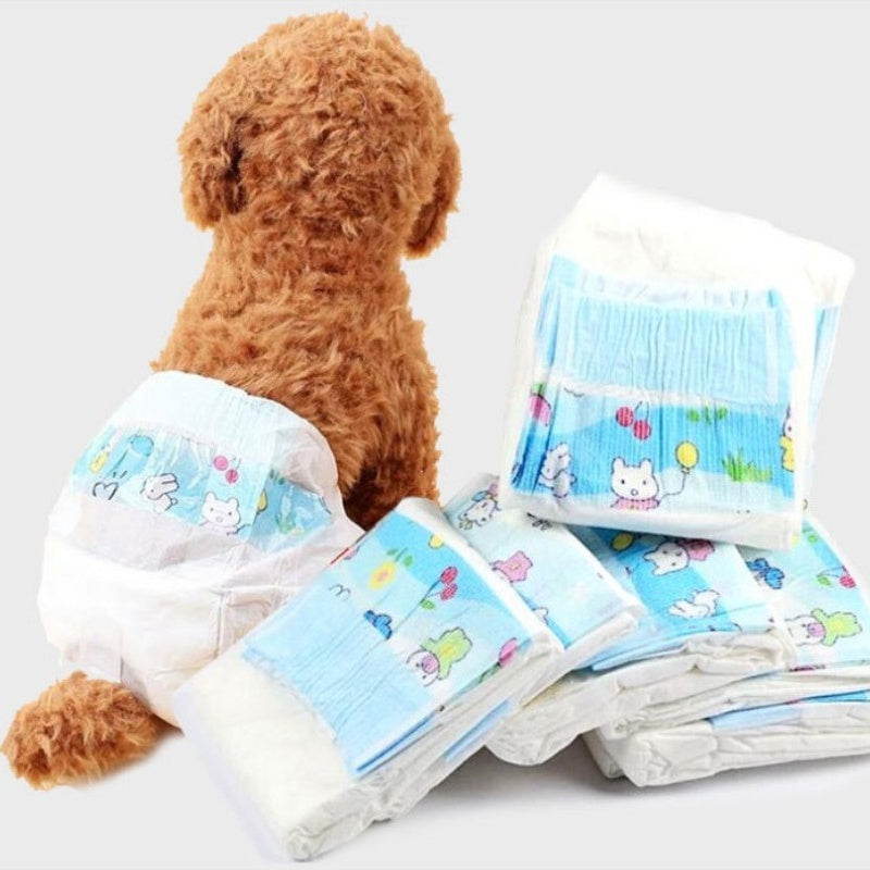 Dog wearing cartoon-patterned doggy underwear with additional packages on a white background