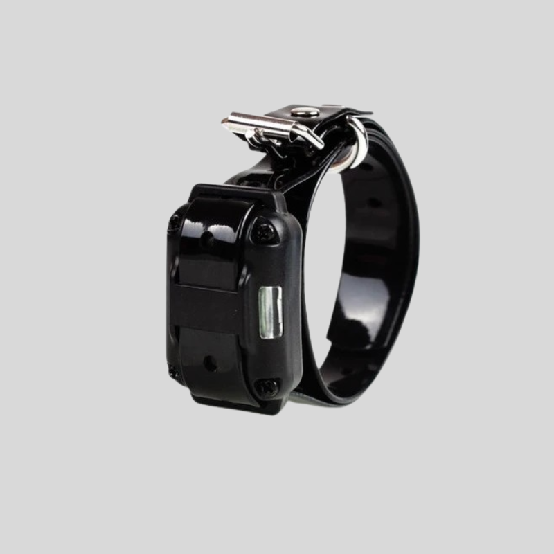 800m Electric Dog Training Collar, Remote Anti-Bark Training Device for Dogs