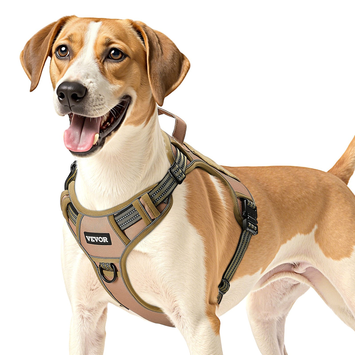 Dog wearing a beige harness on a white background