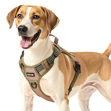 Dog wearing a beige harness on a white background