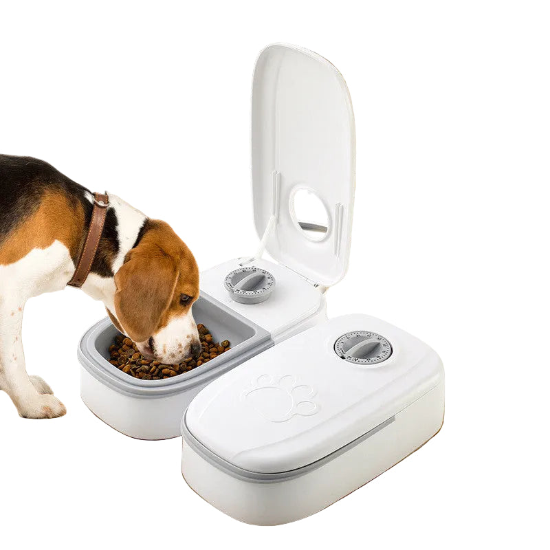 A white and gray pet double-compartment food bowl with an open lid and mirror, shown with a beagle dog eating kibble from one compartment on a white background.
