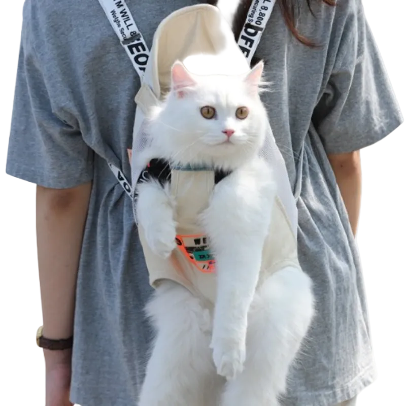 A white long-haired cat wearing a beige pet carrier backpack worn by a person in a gray t-shirt.
