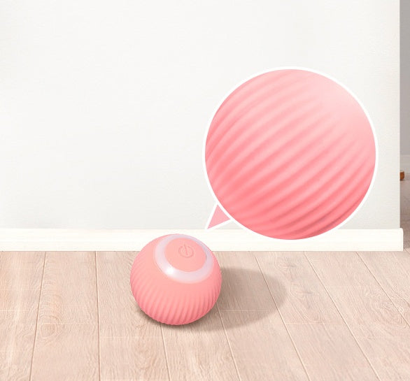 Pink exercise ball on a wooden floor with a close-up inset showing texture details.