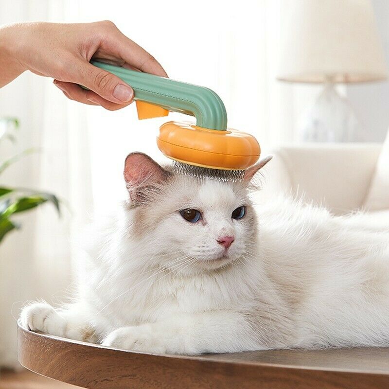 A white long-haired cat lies on a wooden surface while a hand uses a mint green and orange pet grooming brush on its head against a white background.