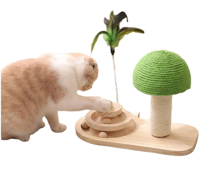Cat playing with a wooden cat toy with a green top