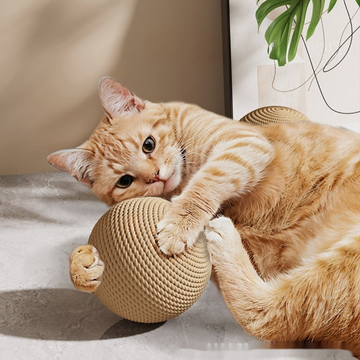 An orange tabby cat playfully wrestling with a round beige rope cat toy on a light gray floor, with a framed print and green plant leaf in the background.