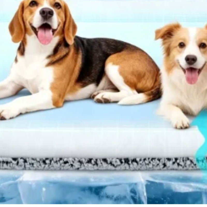 Two dogs lying on a cool blue cooling mat with a cross-section view of the cooling gel material shown below, set against a light blue background.