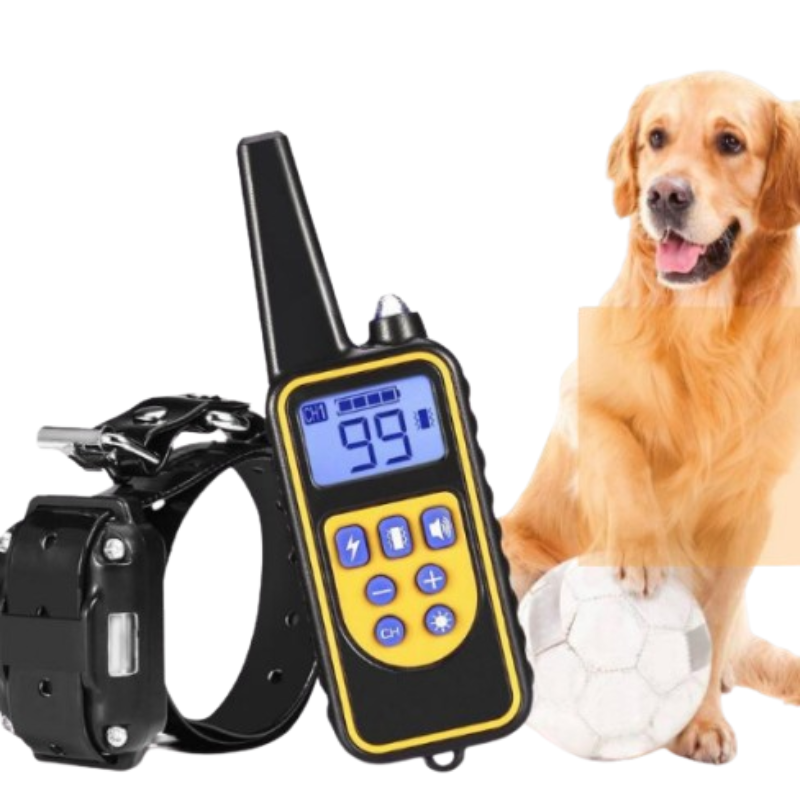 A pet training remote control and collar set shown alongside a golden retriever dog standing next to a soccer ball on a white background.