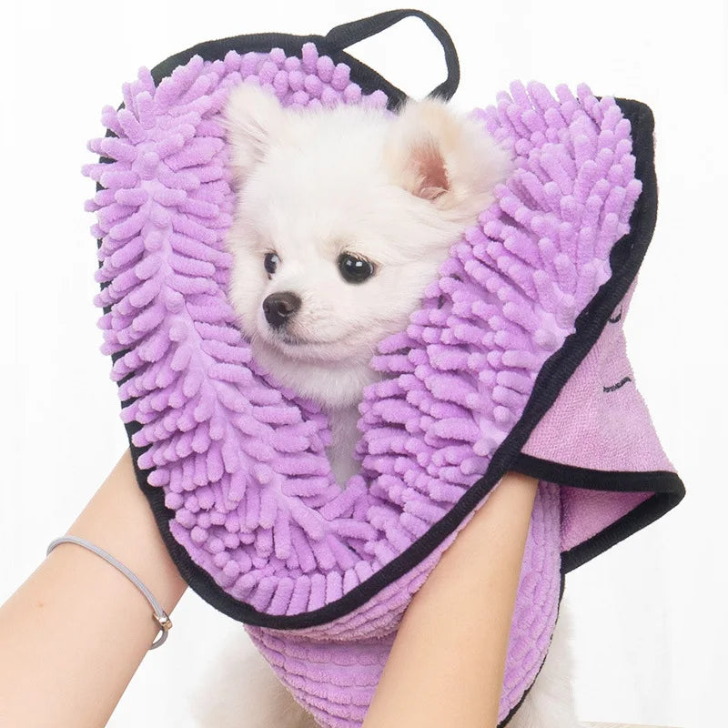 Small white dog in a purple towel held by a person on a white background