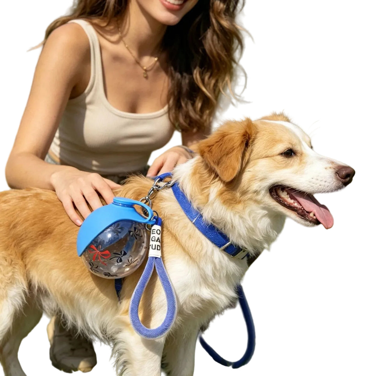 Woman with a dog wearing a blue leash and toy in a park