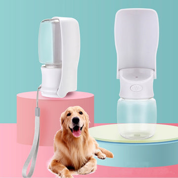 Portable pet water bottle with a dog on a colorful background