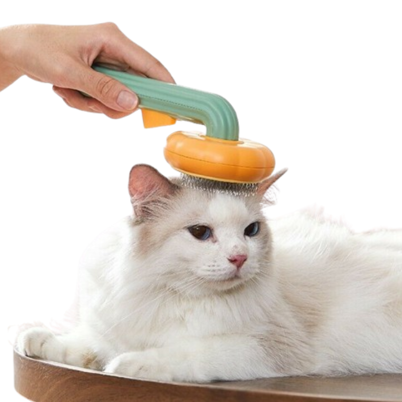 A white long-haired cat lies on a wooden surface while a hand uses a mint green and orange pet grooming brush on its head against a white background.