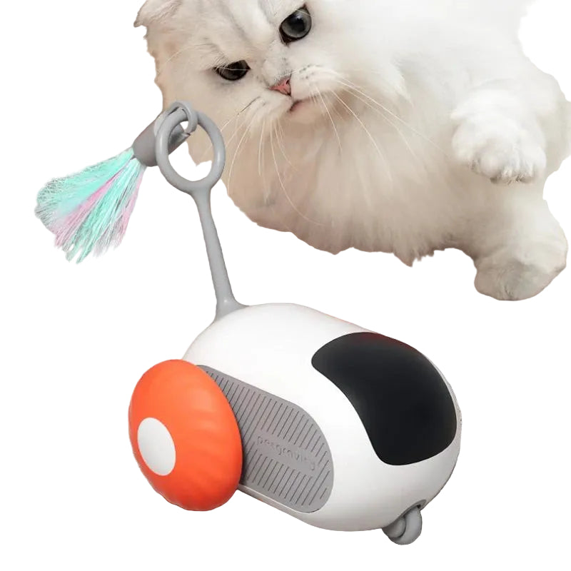 Cat toy resembling a small vehicle with a feather on wheels, next to a cat on a wooden floor.