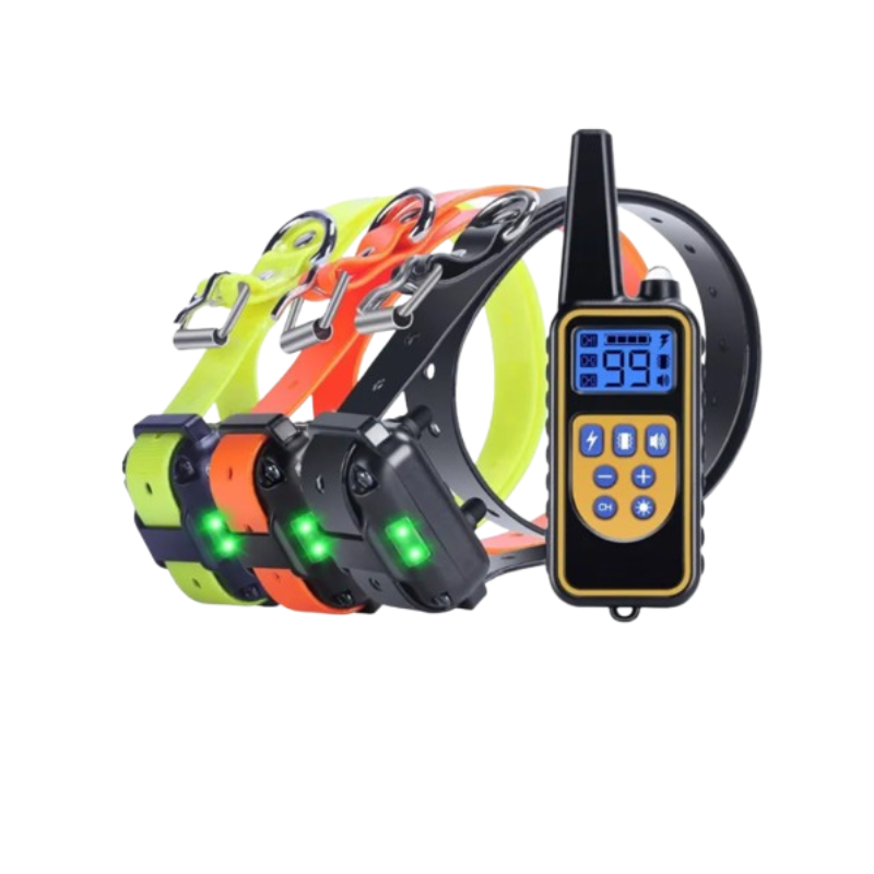 A set of four electronic dog collars in neon yellow, orange, and black, shown alongside a matching black and yellow remote control transmitter on a solid white background.
