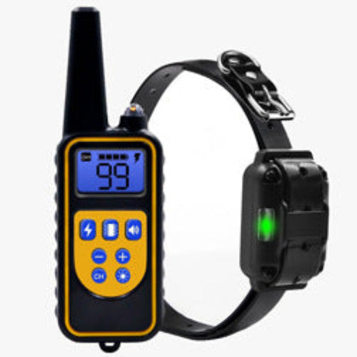 Dog training collar with remote control on a white background