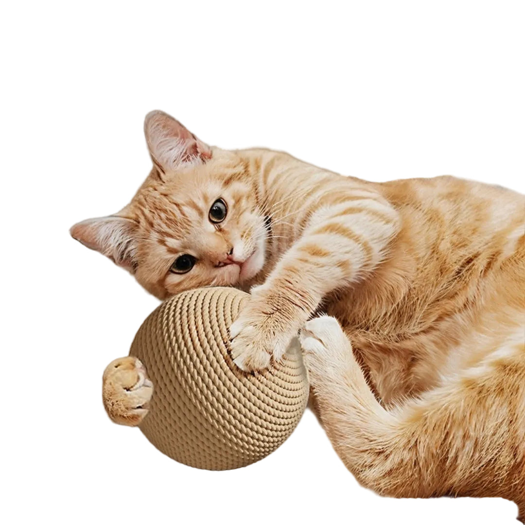 An orange tabby cat playfully wrestling with a round beige rope cat scratcher in a brightly lit indoor setting.