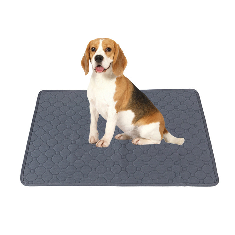 Dog sitting on a gray pet mat with a white background