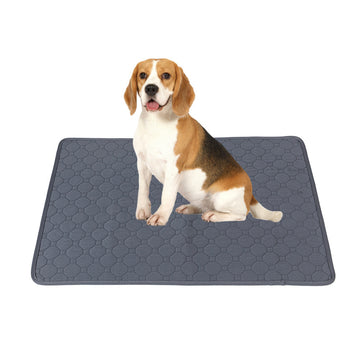 Dog sitting on a gray pet mat with a white background
