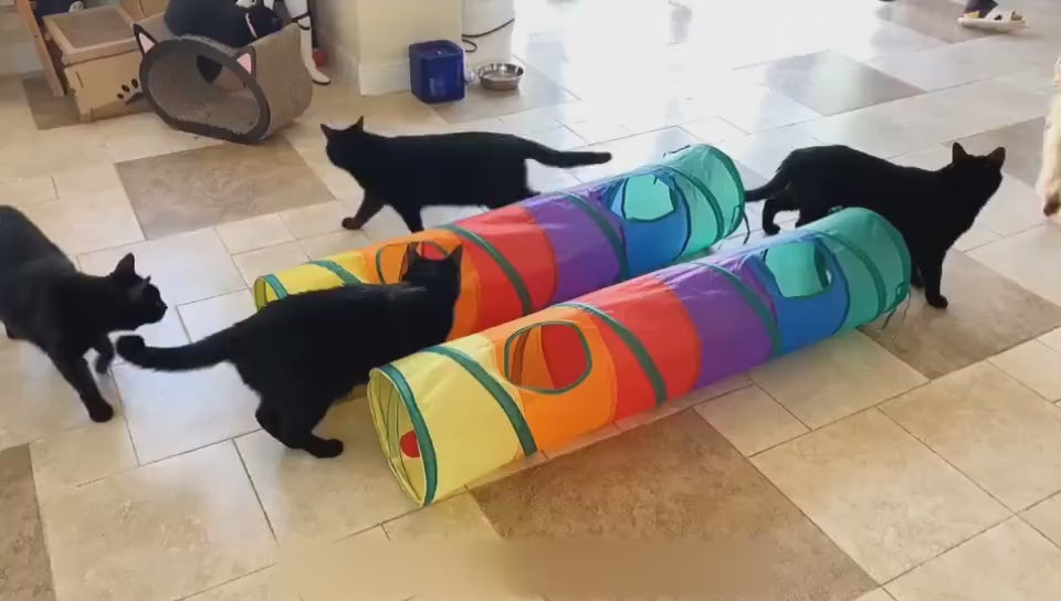 Collapsible interactive play tunnel toy for cats demonstration