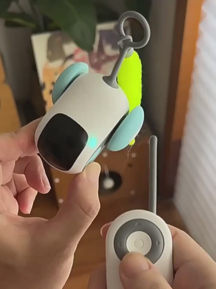 Remote control interactive cat car toy, automatic self-moving USB rechargeable demonstration