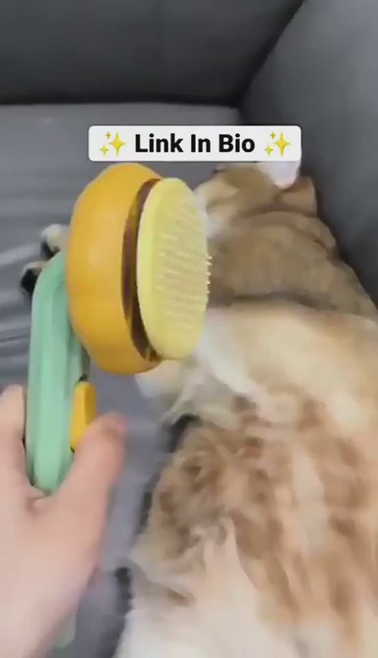 Pumpkin-shaped self-cleaning slicker brush for dogs, cats, puppies, and rabbits demonstration