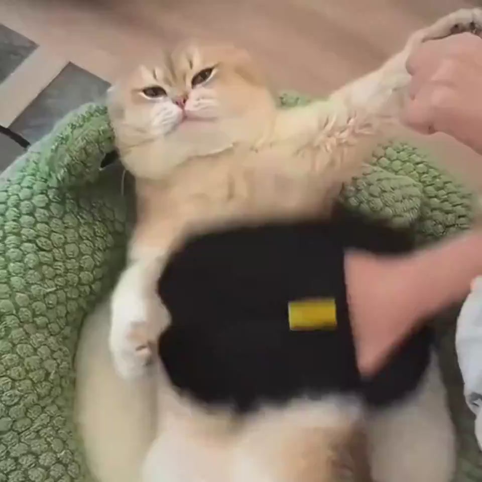 Deshedding grooming glove mitt demonstration
