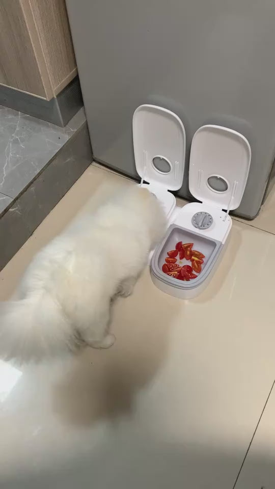 Automatic pet feeder with smart timer and stainless steel bowl demonstration
