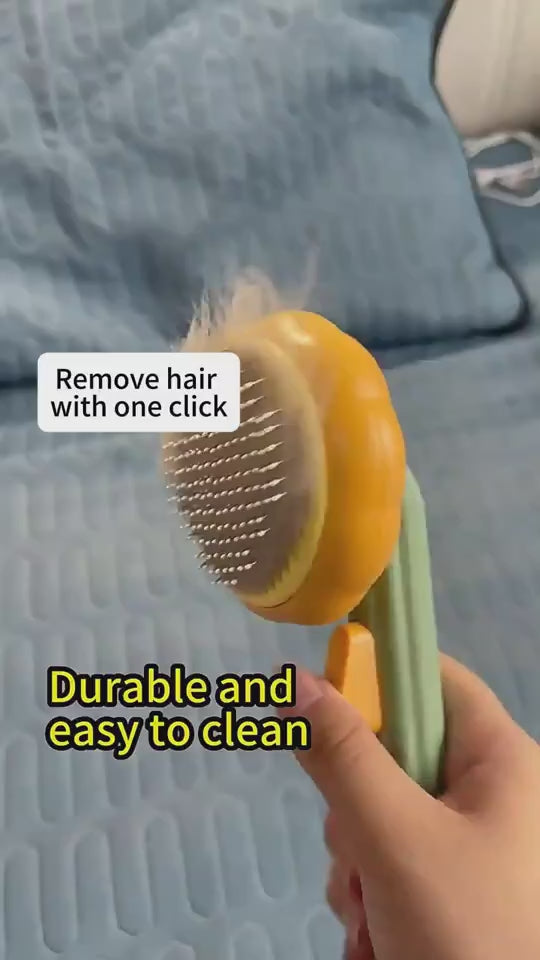 Pumpkin-shaped self-cleaning slicker brush for dogs, cats, puppies, and rabbits demonstration