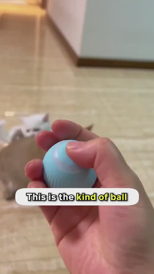 Automatic rotating gravity rolling ball toy for cats demonstration