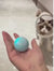 Automatic rotating gravity rolling ball toy for cats demonstration