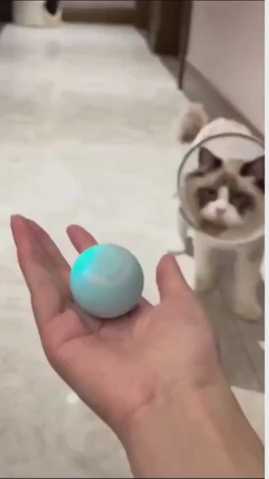 Automatic rotating gravity rolling ball toy for cats demonstration