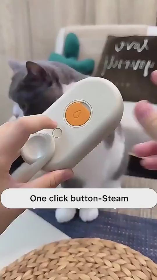 3-in-1 electric steam grooming brush demonstration