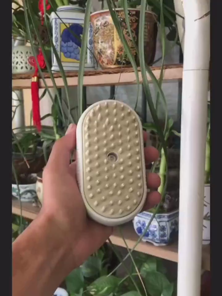 3-in-1 electric steam grooming brush demonstration