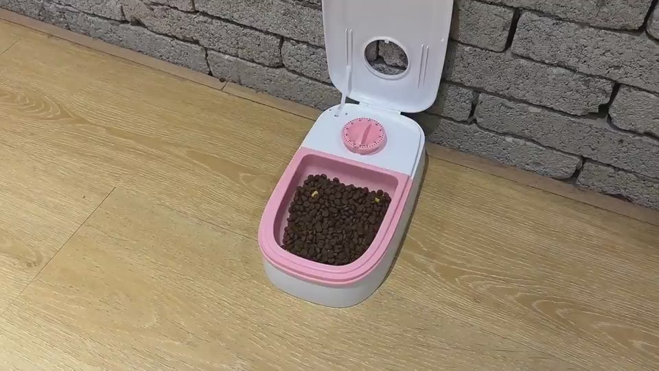 Automatic pet feeder with smart timer and stainless steel bowl demonstration