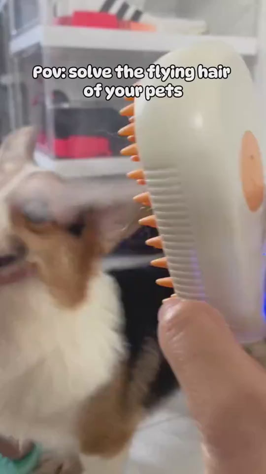 3-in-1 electric steam grooming brush demonstration