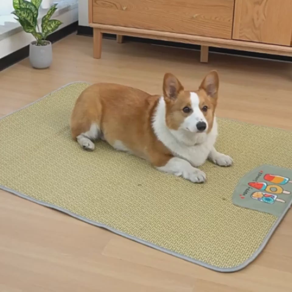 Cooling summer pet mat for dogs and cats demonstration
