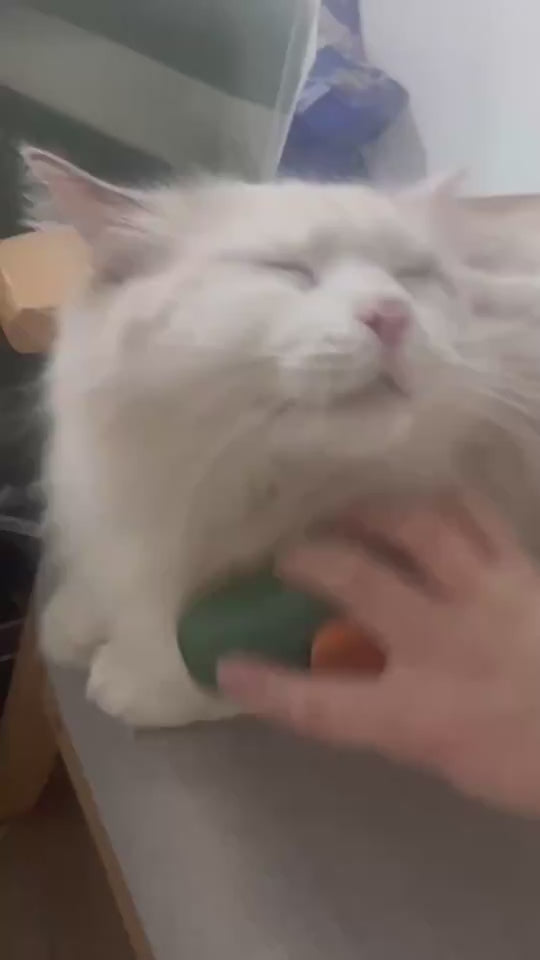 Steamy cat brush with self-cleaning steam, massage and grooming comb demonstration