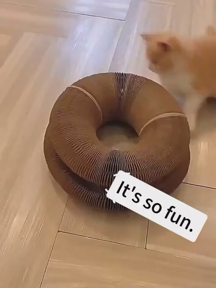 Foldable magnetic cat scratch board, interactive scratcher toy demonstration