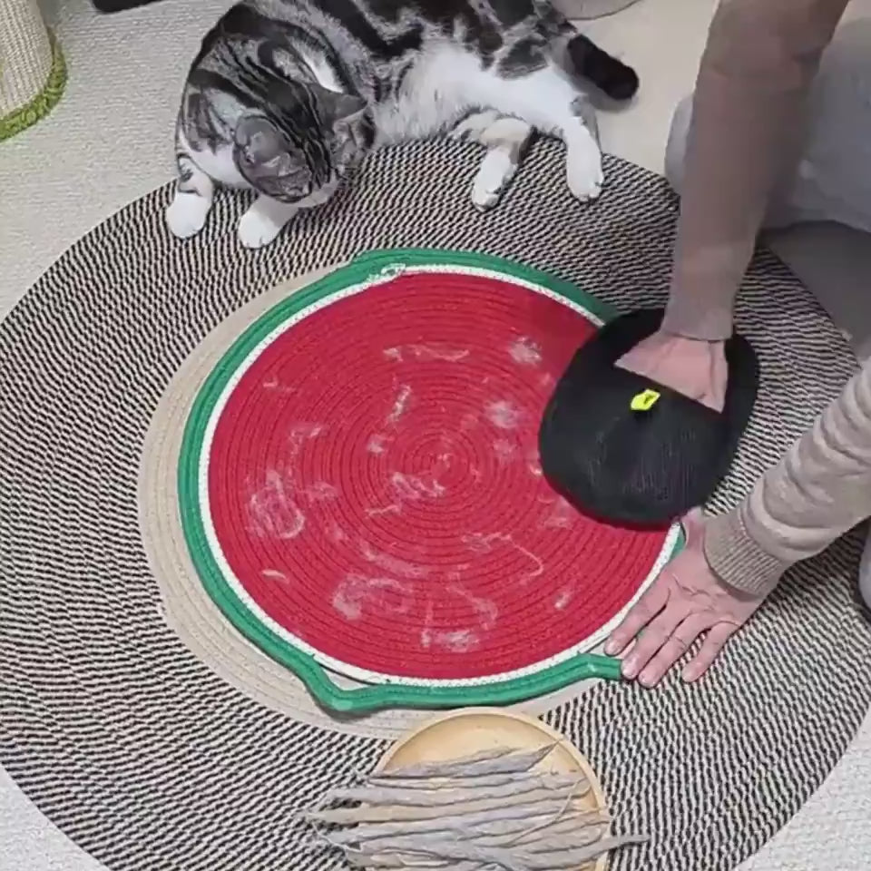 Deshedding grooming glove mitt demonstration