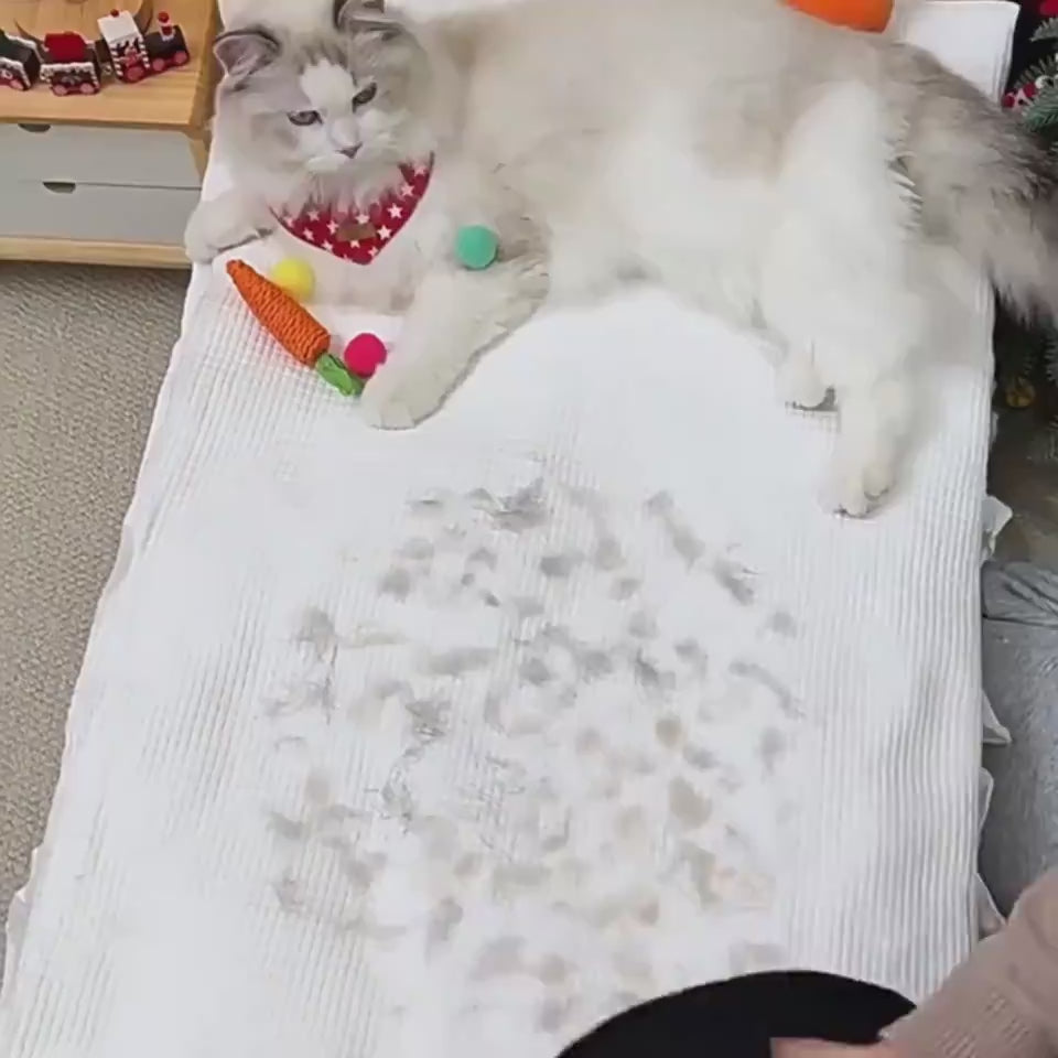 Deshedding grooming glove mitt demonstration