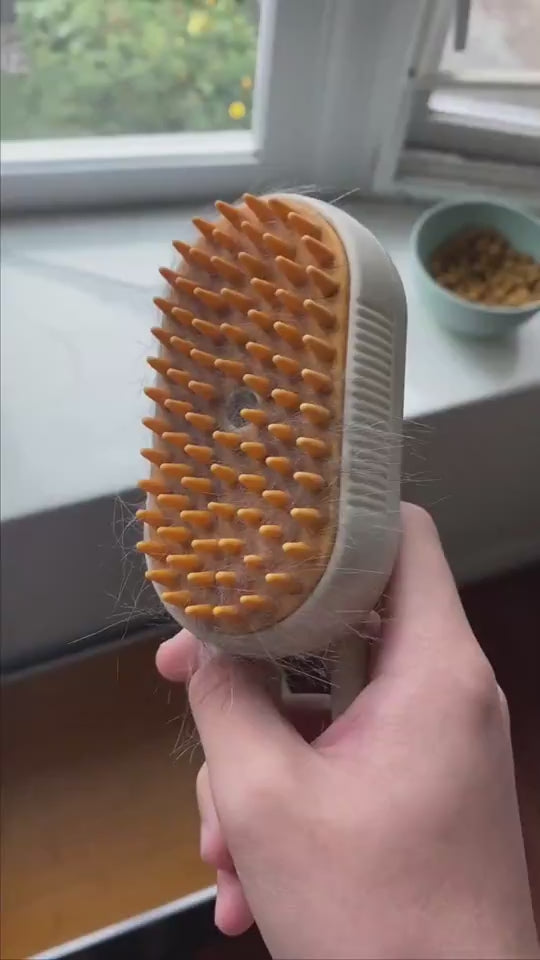 3-in-1 electric steam grooming brush demonstration