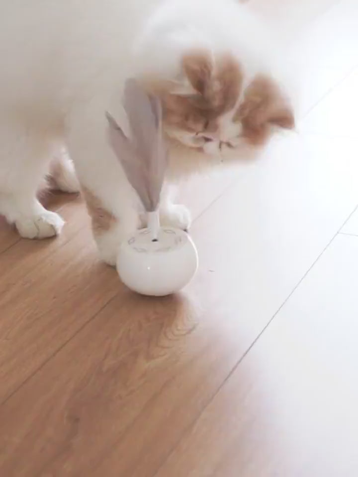 Pet Tumbler Feather